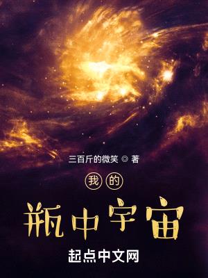 我的瓶中宇宙封面